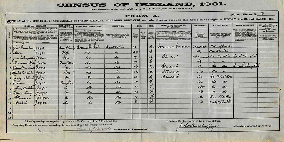 National Archives of Ireland 1901 Census, entry for the Joyce family